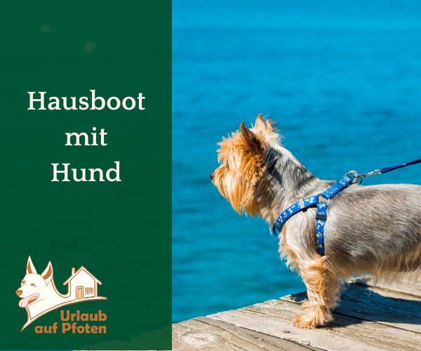 Hausboot Holland mit Hund