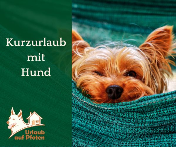 Kurzurlaub mit Hund