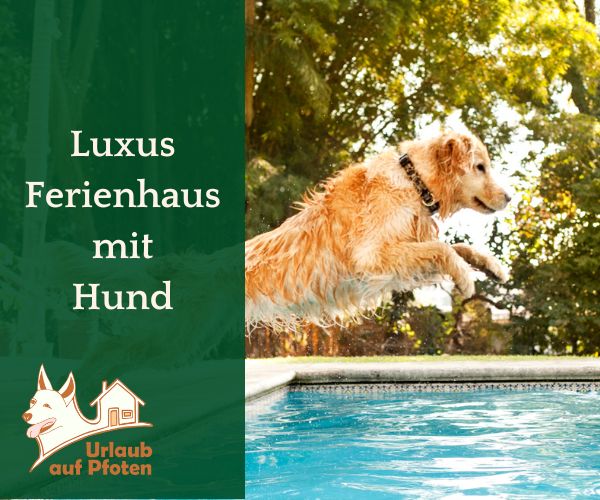 Luxus Ferienhaus mit Hund